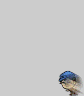 Urchin exit building N